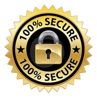 Secure checkout